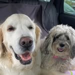 Patti Ann Cavanaugh - @pattianncavanaugh23 - Instagram