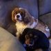 Patty Cavanaugh - Facebook