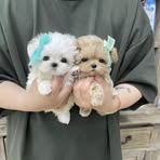 Patty Chadwell - Facebook