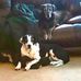 Patty Chalmers - Facebook