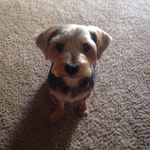 Patty Chalmers McEuen - @pattymceuen - Instagram