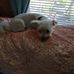 Patty Chamberlain - Facebook