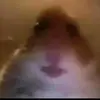 hi - @pattychance0 - TikTok