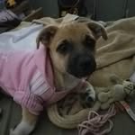 Patty Chancethomas - @patty_chance_thomas - Instagram