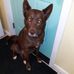Patty Chase - Facebook