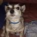 Patty Chase - Facebook