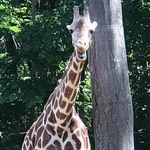 Patty Chase - @pchase73 - Instagram