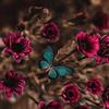 Patty Cho - @patty.cho7 - TikTok