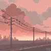 pattyclaire1 - @pattyclaire1 - TikTok