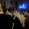 Pattyclaire - @pattyclaire2211 - TikTok