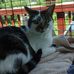 Patty Clapper - Facebook