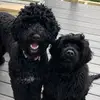 Patti Cleary - @patticleary - TikTok