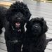 Patti Cleary - Facebook