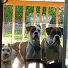 pattyclement137 - @pattyandkiddys - TikTok