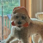 Patty Steward Clements - @paclements - Instagram