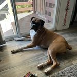 Patty Cobb - @truckinlady59 - Instagram