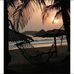 Patty Cobb - Facebook