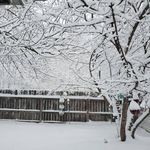 Patty Coffman - @pattycake502010 - Instagram
