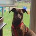 Patty Collier - Facebook