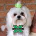 Patty Colucci - Facebook