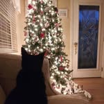 Patty Colucci Burton - @pburton0219 - Instagram