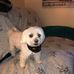 Patty Combs - Facebook