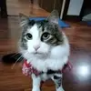 Patty Conde - @patricia.delia.co - TikTok