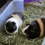 Patricia Conlon Cameron - @patty9996 - Instagram