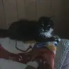 pattyczeskiconlon - @pattyczeskiconlon - TikTok