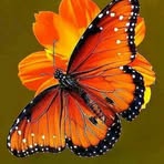 Patty Connell - Facebook