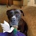 Patty Connelly - Facebook