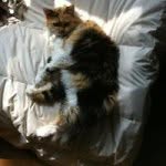 Patty Conway - @patty.jo.64 - Instagram