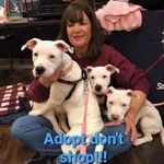 Patty Cook - @pattycookensminger - Instagram
