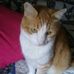 Patty Coons - Facebook