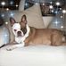Patty Coons-Johnson - Facebook