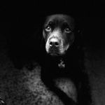 Patty O'Neil Coons - @pattycoons2 - Instagram
