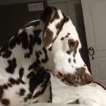 @pattycoons - Instagram