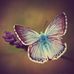 Patty Corbett - Facebook