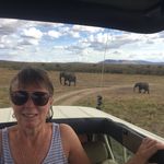 Patty Corbett - @patty6266 - Instagram