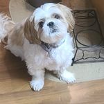 Patty Corbett - @pcorb25 - Instagram