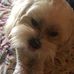 Patty Corbin - Facebook