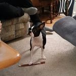 Patti Coughlin - @coughlin247 - Instagram