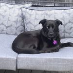 Patty Coughlin Morgan - @pattym1126 - Instagram