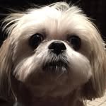 Patty Coy - @mickeybris14 - Instagram