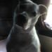 Patty Cramer - Facebook