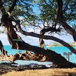 Patty - @pattycramer - Instagram