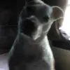 pattycramer6 - @pattycramer6 - TikTok