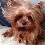 Patty Cross - @ed.cross52 - Instagram