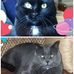 Patty Daigle - Facebook