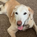 Patti Dailey Wernersbach - @pattiwernersbach - Instagram